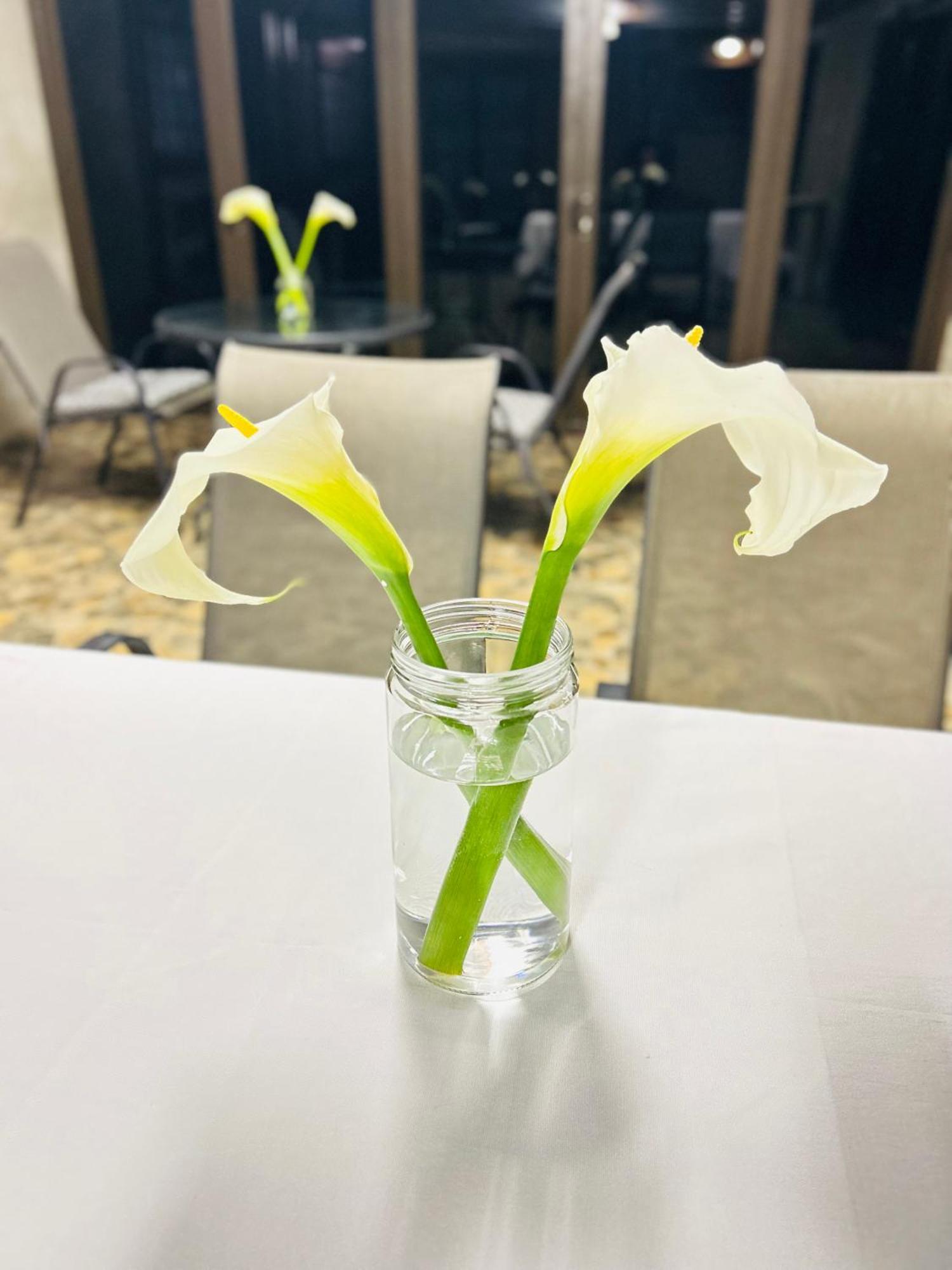 Duvha Guesthouse グラスコップ エクステリア 写真