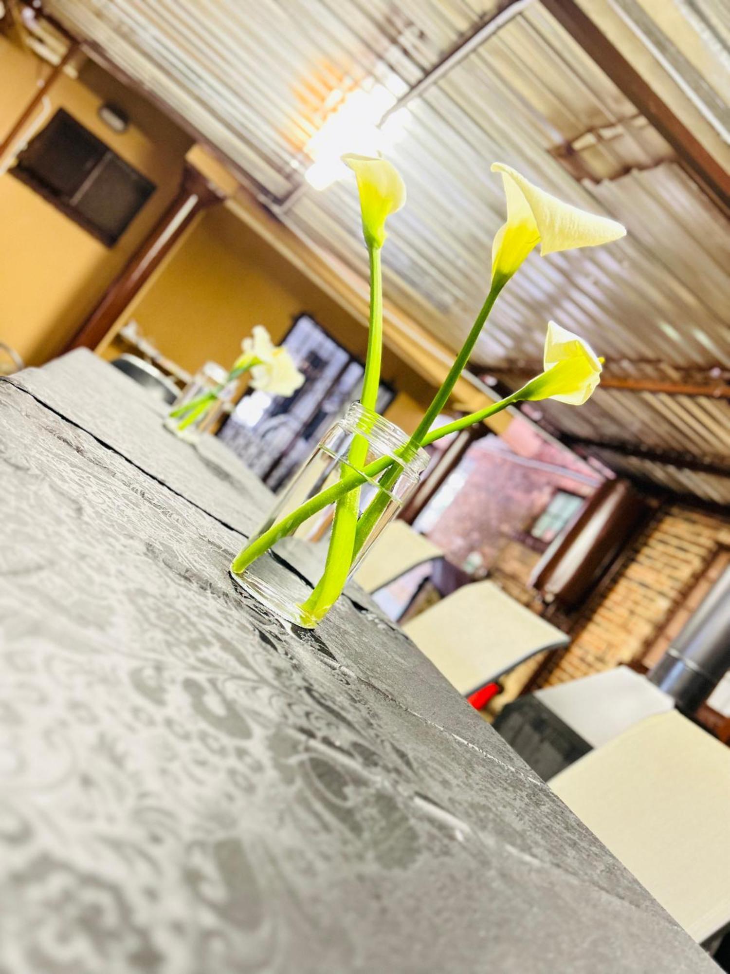 Duvha Guesthouse グラスコップ エクステリア 写真
